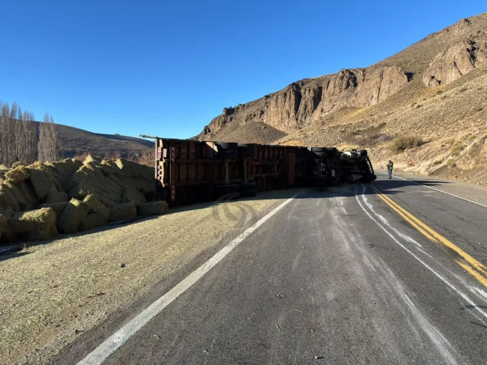 El hecho se produjo a la altura del kilómetro 1600 de la ruta 237. Fotos:gentileza.