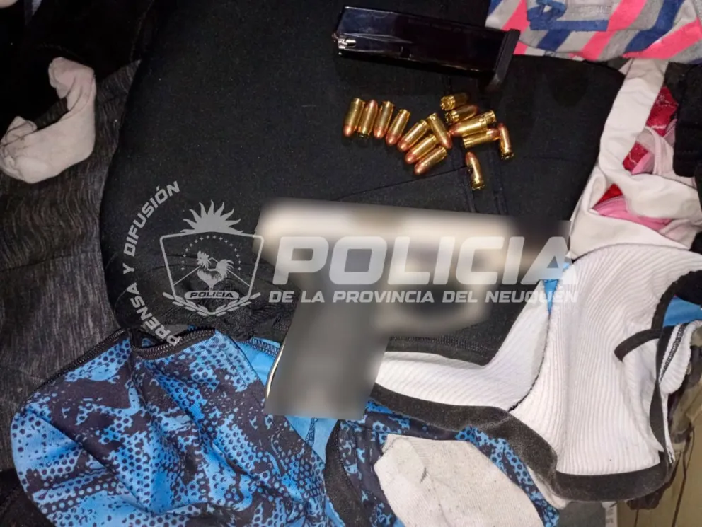 Secuestro de armas de fuego en Centenario.