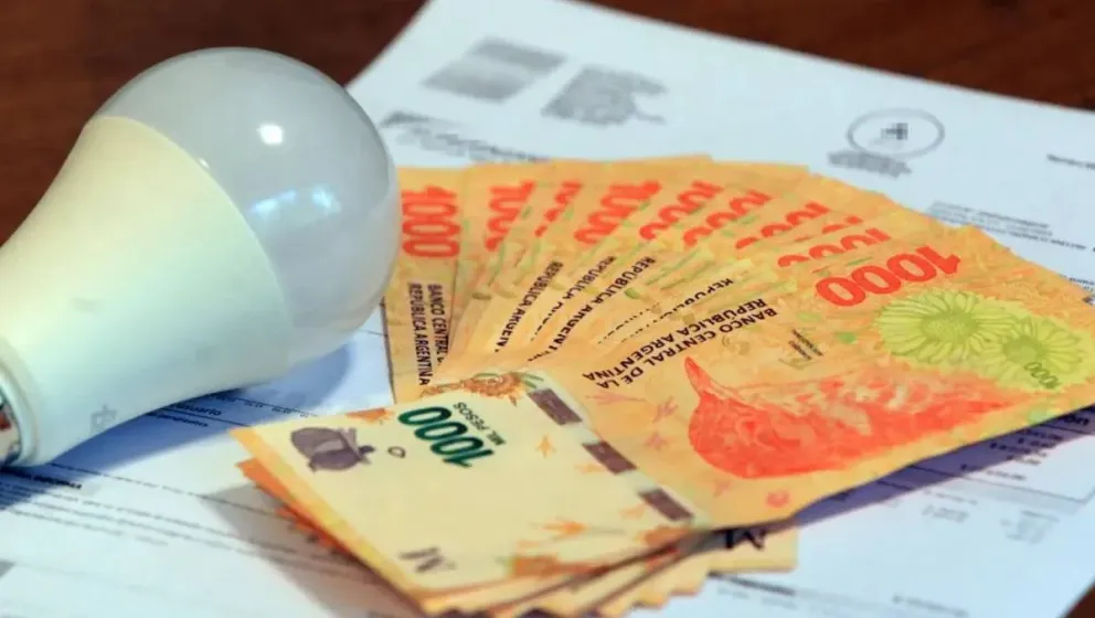 Al solicitar el beneficio, el usuario debe suscribir un plan de pagos para regularizar su deuda, con cuotas mensuales menores al 20% de la factura de mayor monto.