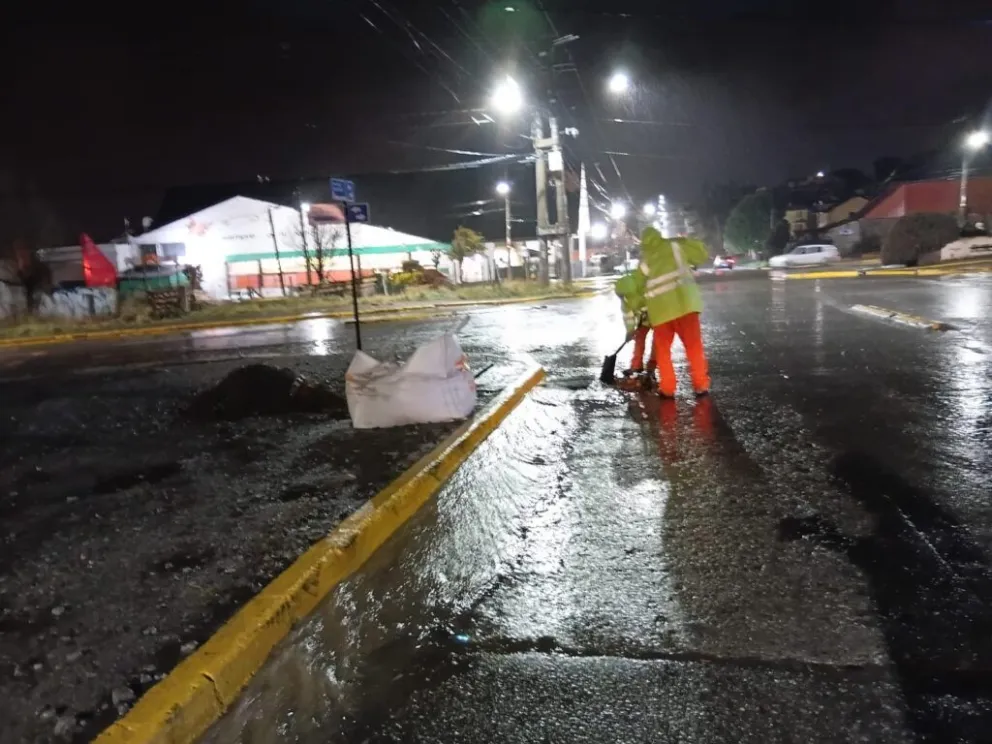 La situación vuelve a poner en foco la importancia de mantener limpios los sectores de la vía pública. Fotos: Municipalidad de Bariloche. 