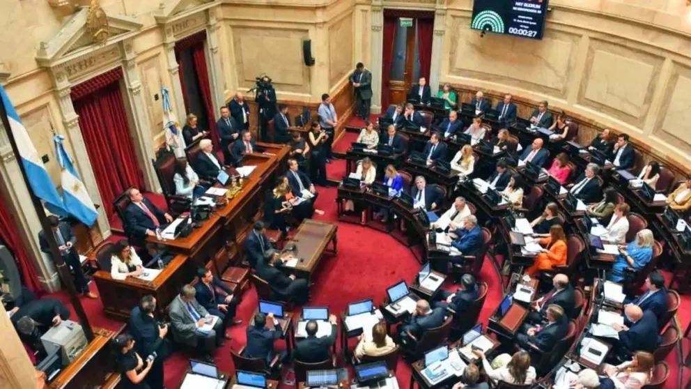 Los senadores aplaudieron de pie a la Selección argentina luego del triunfo contra Inglaterra de ayer, en la previa de la sesión. 