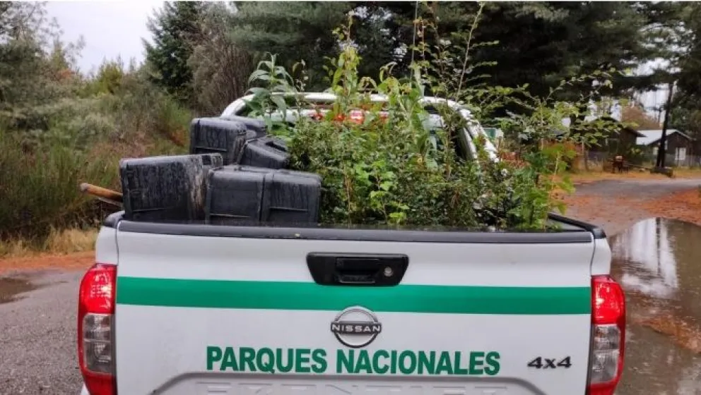 Una iniciativa que combina conservación, logística y trabajo territorial. Fotos: Parques Nacionales.