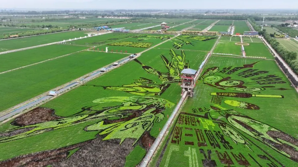 con apenas el 9 por ciento de la tierra cultivable del planeta, China logra alimentar a casi una quinta parte de la humanidad. 