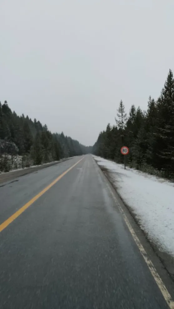 Las nevadas continuarán el sábado con ráfagas de viento de hasta 60 kilómetros por hora. 