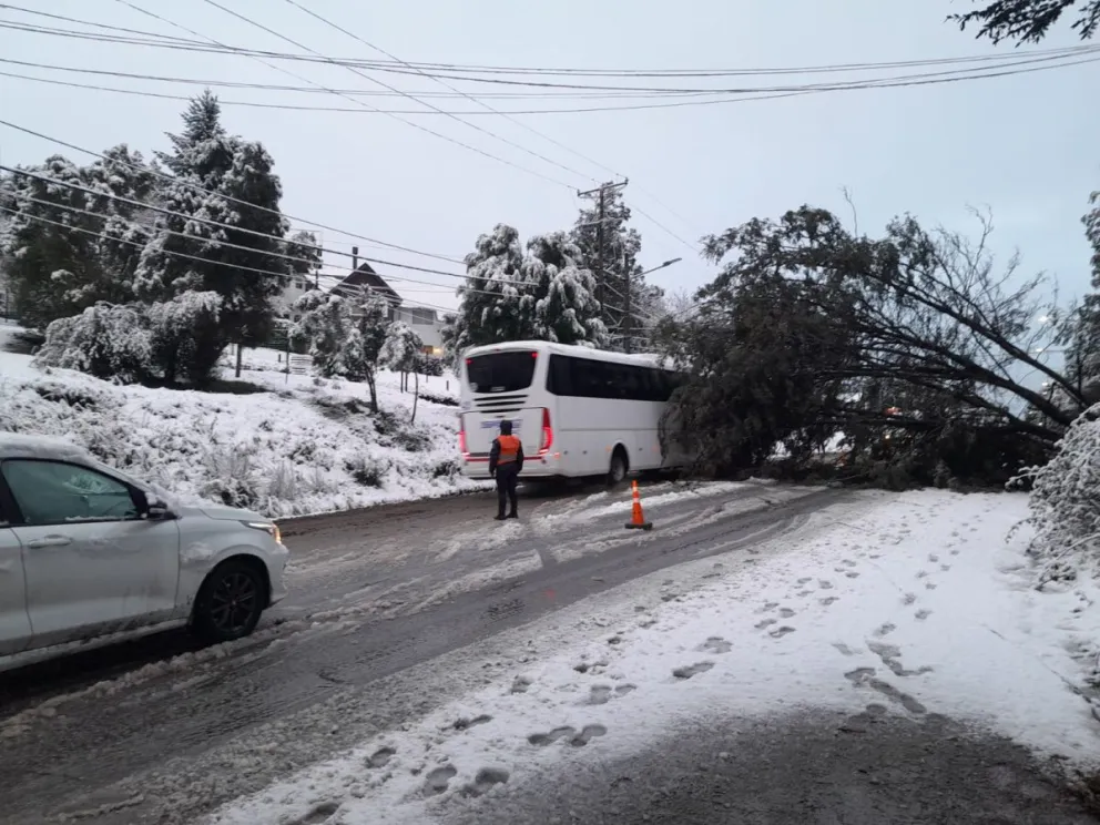 Se recomienda circular con extrema precaución en la zona de los kilómetros. Foto: Gentileza ANB.