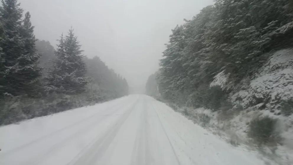  Los equipos de Vialidad Nacional continúan trabajando en el despeje de nieve, la distribución de sal granular y el riego con solución salina.