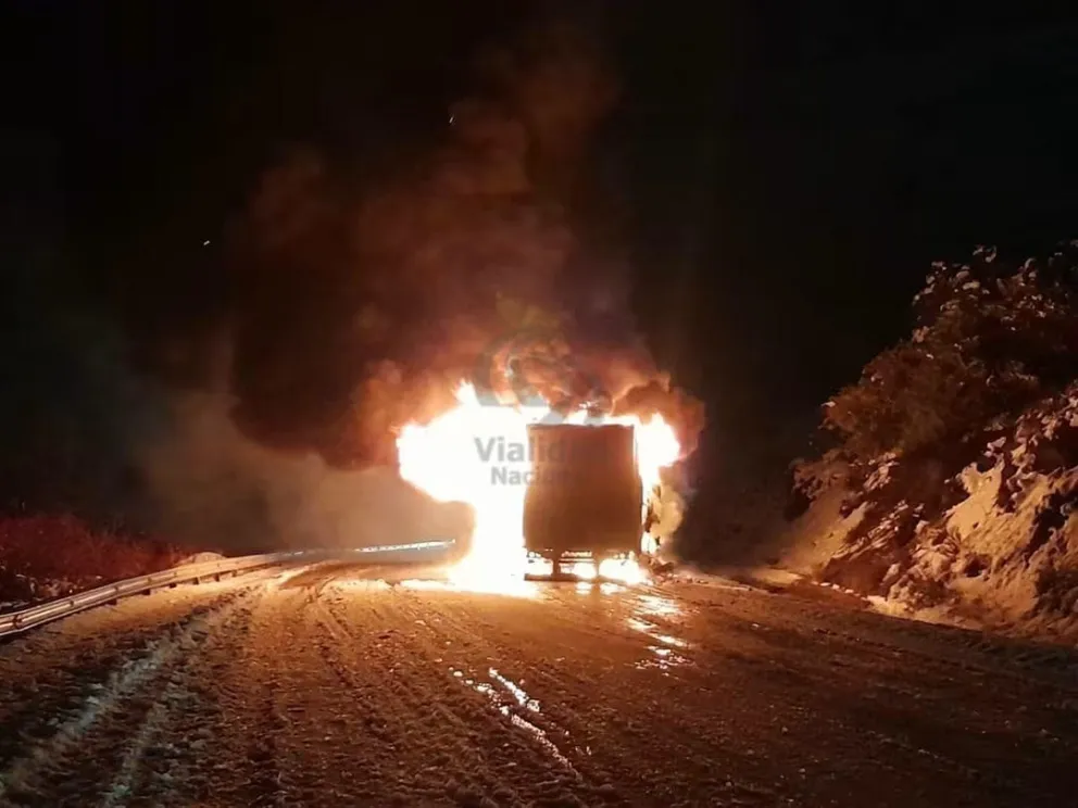 El hecho ocurrió el domingo por la noche en el kilómetro 1598 de la Ruta 237. Foto: Vialidad Nacional. 