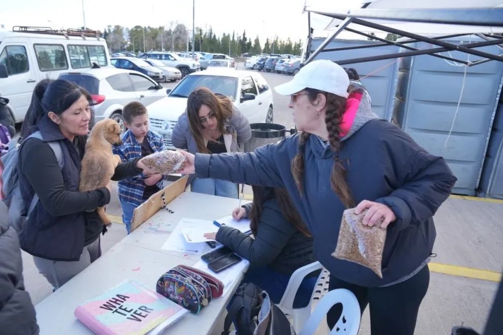 Cada animal adoptado tiene un seguimiento y se va con todo lo necesario para sus primeros días en el nuevo hogar.