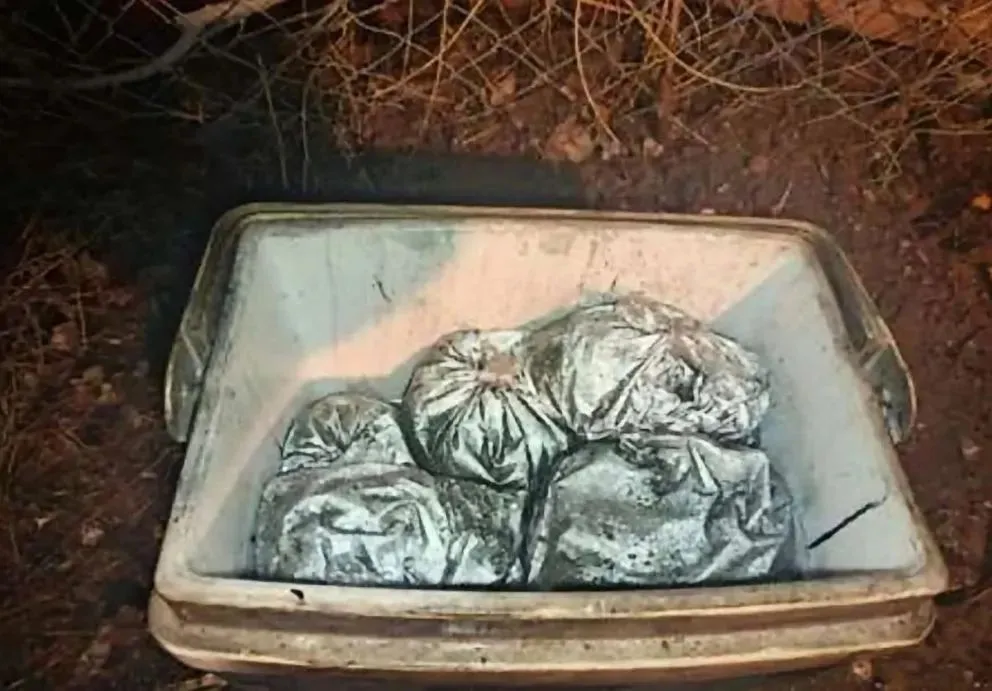 Los bomberos encontraron la droga y las armas mientras apagaban el incendio. (Foto: gentileza)
