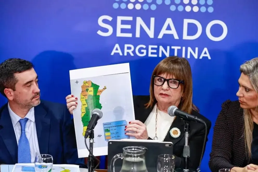 La presión social y el rechazo masivo fueron clave para que la venta de tierra a extranjeros no ingrese al Senado. Foto gentileza. 