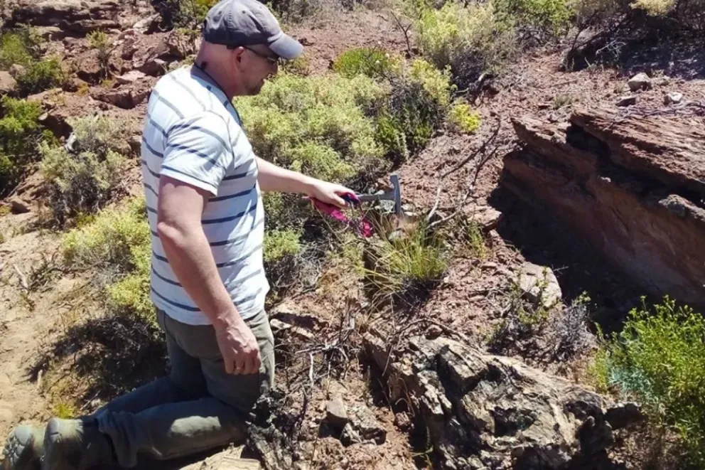 Importante hallazgo arqueológico. 