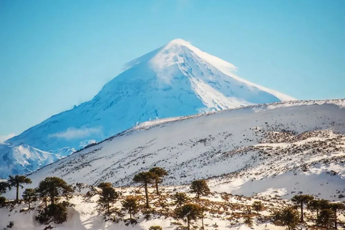 Junín de los Andes ofrece naturaleza, gastronomía y cultura para disfrutar. Fotos: Gobierno de Neuquén.