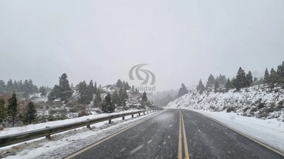 RN 237, Limay Chico - Confluencia. Foto gentileza
