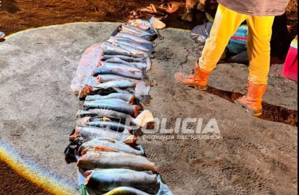 El operativo fue llevado a cabo por personal Guardafauna y la Policía de Neuquén. Foto: Policía de Neuquén.