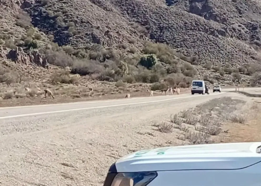 La advertencia busca evitar accidentes. Foto gentileza PNNH