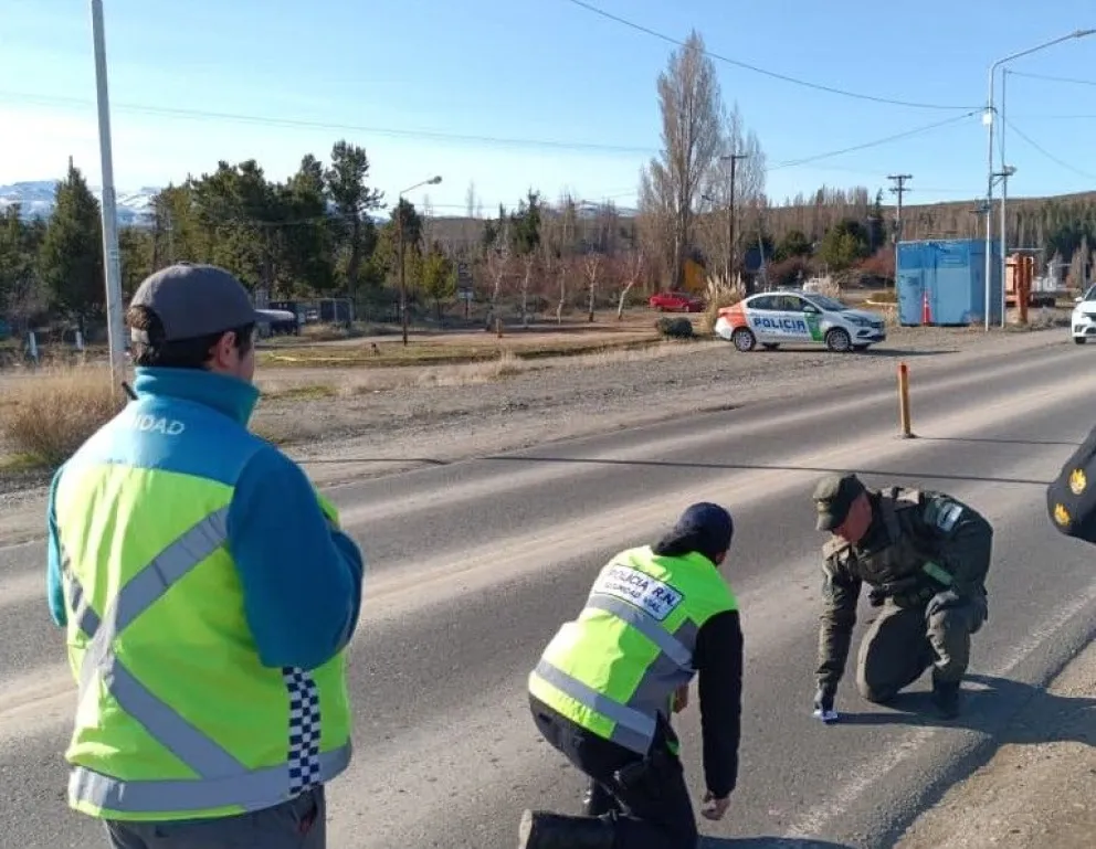 Las sustancias fueron secuestradas y se iniciaron las actuaciones correspondientes, quedando el caso a disposición de la Justicia Federal. Foto: Policía de Río Negro.

