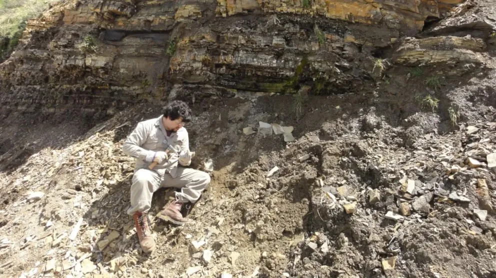 El descubrimiento vuelve a poner en evidencia el valor científico y patrimonial del territorio rionegrino. Fotos: Gobierno de Río Negro.