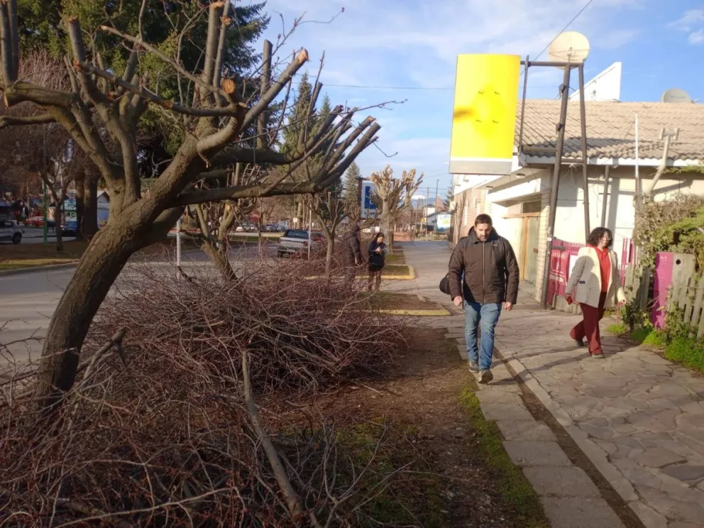 A la poda no autorizada se sumó además la infracción por el abandono de los residuos vegetales sobre la vía pública. 
