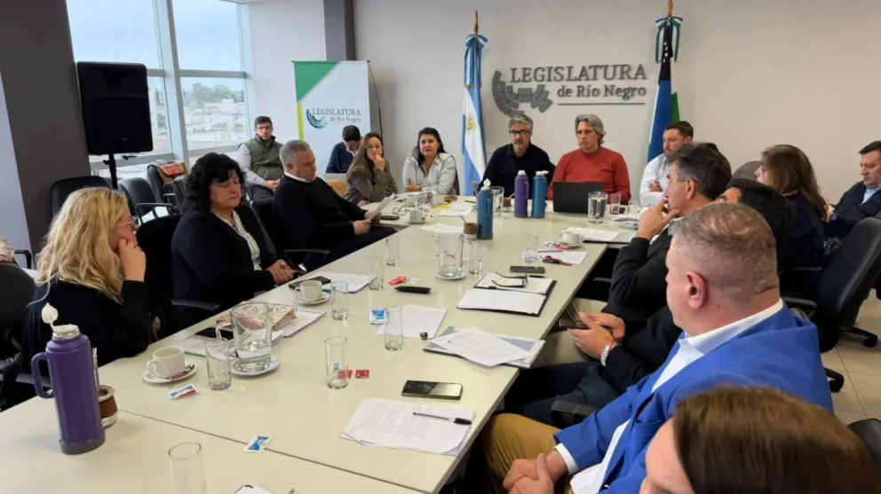El nuevo marco busca actualizar una normativa que "quedó desactualizada". Foto: Gobierno de Río Negro.
