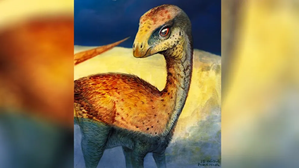 Gasparinisaura cincosaltensis, un pequeño dinosaurio herbívoro. Ilustración: Martina Charnelli.