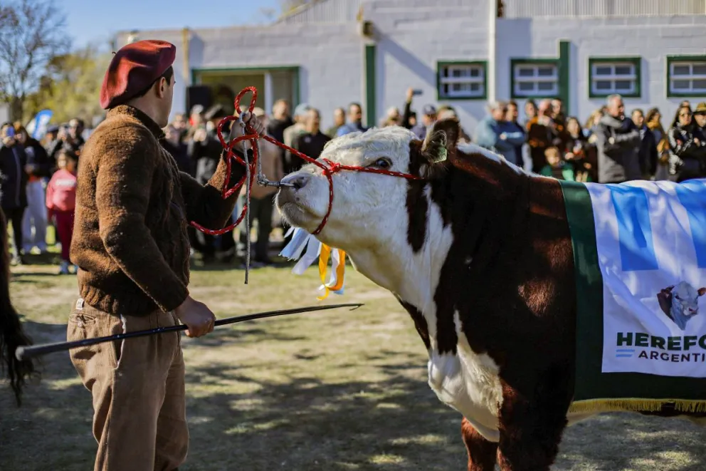 Weretilneck inauguró la Exposición Rural de Viedma, la segunda del ciclo de primavera. Fotos: Gobierno de Río Negro.

