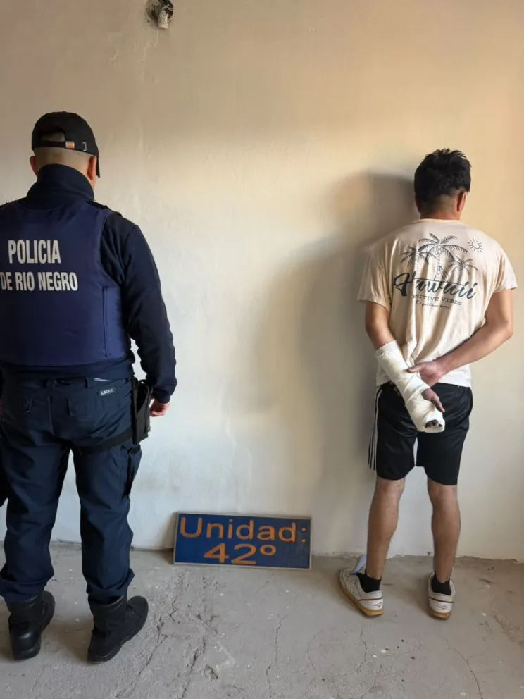 El sujeto fue detenido tras agredir a un efectivo policial que intervino en la situación a pedido de la madre. Foto: gentileza.