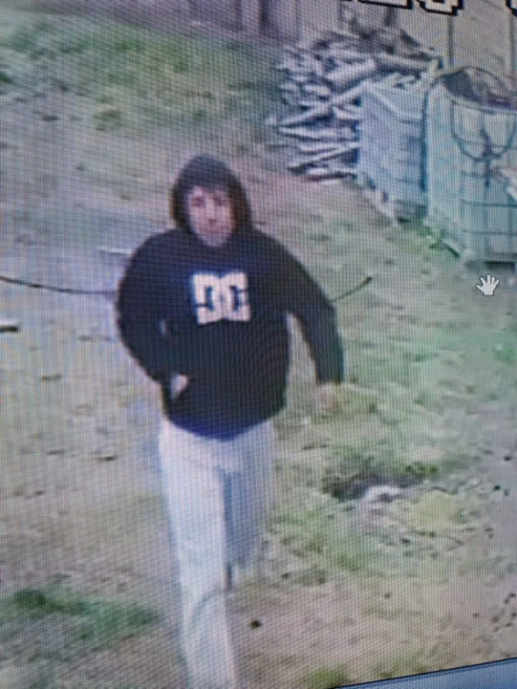 Uno de los delincuentes fue captado por las cámaras.