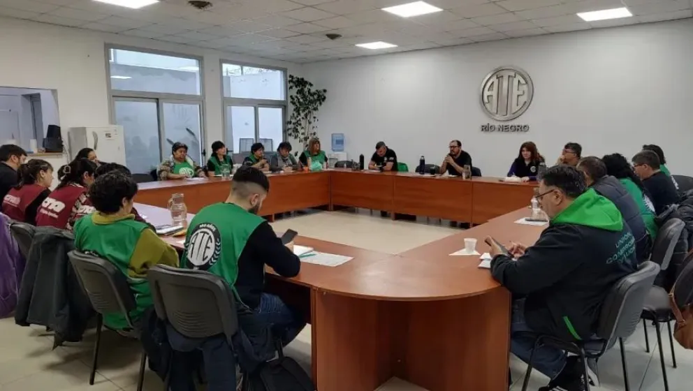 El plenario tuvo la participación de 13 seccionales de la provincia.
