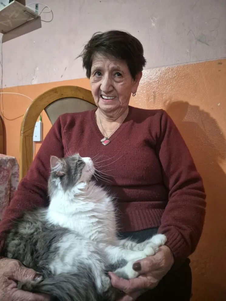 La mujer salió en las primeras horas de la jornada desde el barrio 130 Viviendas para visitar a uno de sus hijos. 