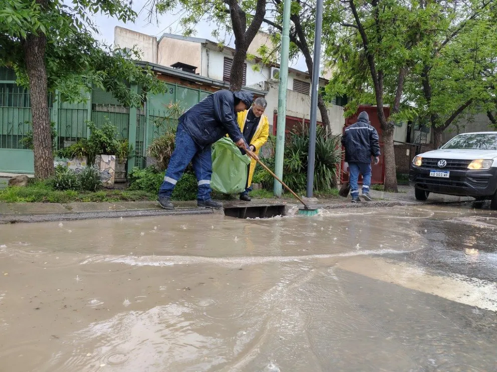 Trabajos de limpieza en Cipolletti.