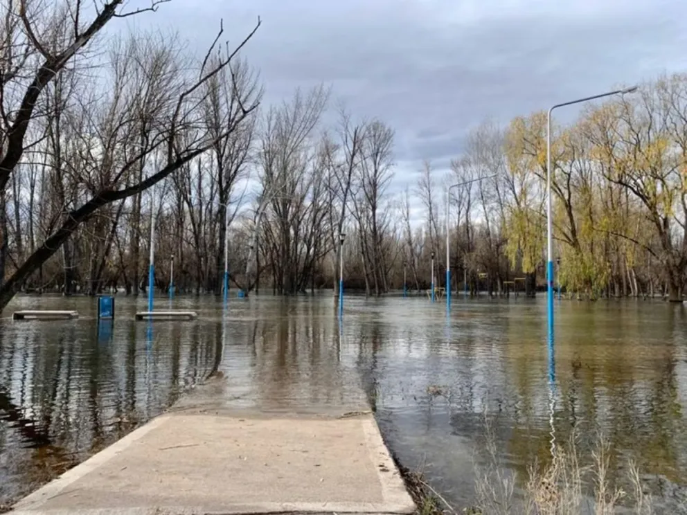 Crecuda en el río Neuquén.