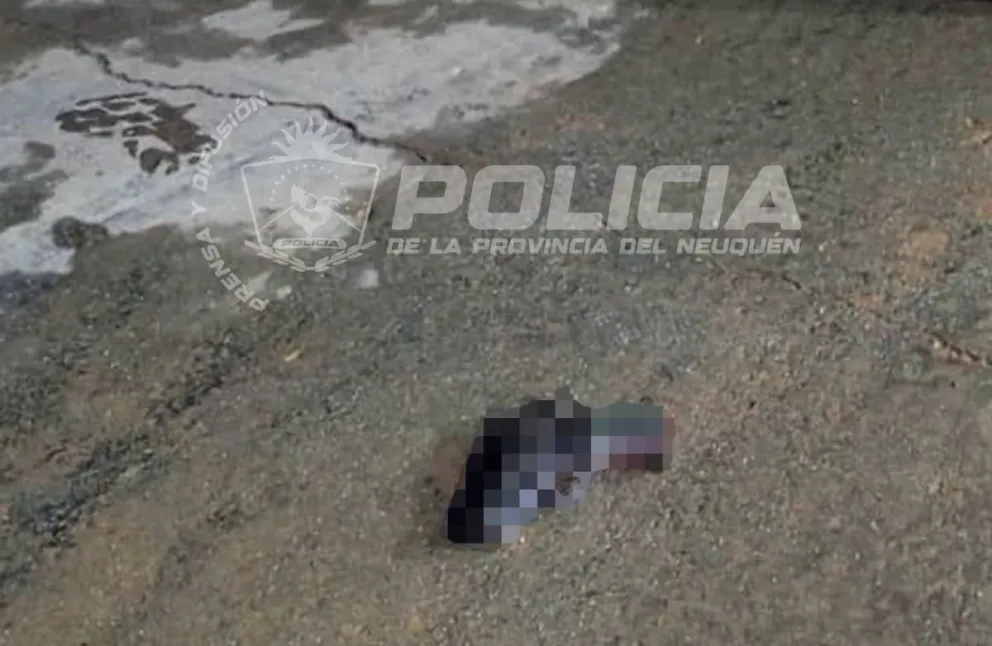 Un arma fue secuestrada en el lugar.