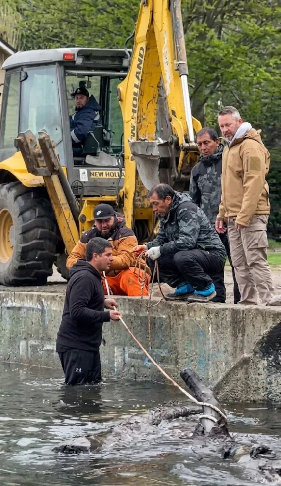 El área de mayor complejidad operacional se ubica entre la naciente del curso hídrico y el Puente Negro.