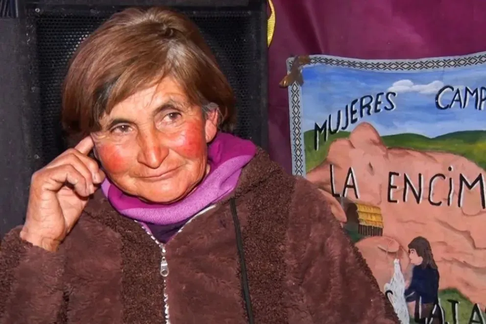 Minies Consuelo Arratia, durante la entrevista con RTN.